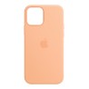 iPhone 12 | 12 Pro Silicone Case MagSafe CantaloupeMK023ZM/A