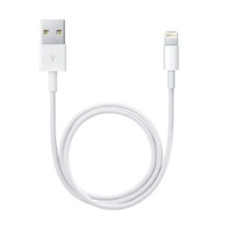 Buy LightningUSB Cable 0.5m from Apple Cheap|i❤ShopDutyFree.uk