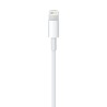 🎁 Save Big! White USBC Lightning Cable 1m at ShopDutyFree.uk🚀