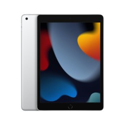 🎁 Save Big! iPad 10.2 Wifi 256GB Silver at ShopDutyFree.uk🚀