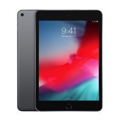 🛒 Shop iPad mini WiFi 256GB Space Grey 