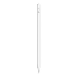 Pencil Pro - iPad Cases - 